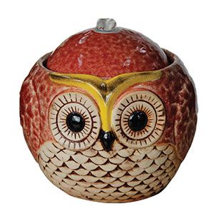 Rosie Red Owl