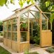 Forest Vale Greenhouse 8x6